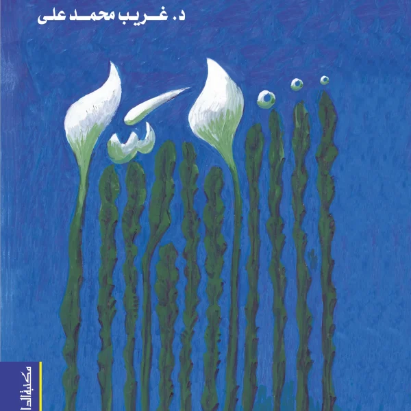 فى التصوف الاسلامى